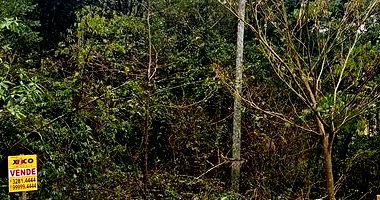 Terreno em Nova Petrópolis com 587,39m²