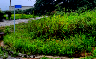 Direitos de Terreno com 300m² em Gravatá/PE