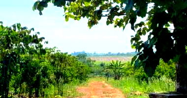 Imóvel Rural com 20,25ha, 2 Represas e Casa