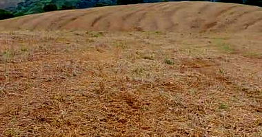 Direitos Possessórios de Chácara em Campo Magro/PR