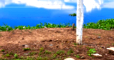 6 Lotes de Terra com 1.800m² em Manacapuru/AM