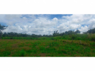 Chácara com 2,4879 hectares, sem edificação, com córrego.