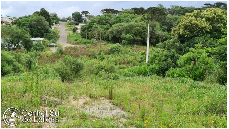 Terreno urbano declive com 669,29m², área nativa preservada