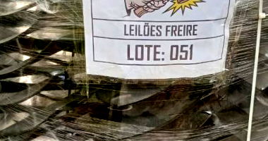 Ventoinhas do Sistema de Arrefecimento CH 11691 - Lote 051
