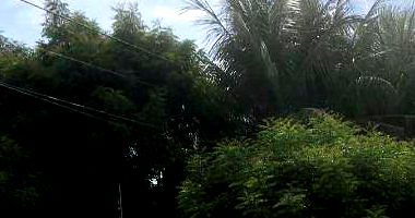 Casa Ocupada com 180m² de Terreno em Senador Pompeu/CE