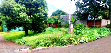 Terreno urbano de 291,5m² sem benfeitorias, pronto para construir