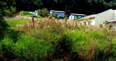 Terreno Amplo em Francisco Beltrão - 1.619m²