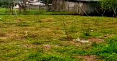 Terreno com 300m² em Dilermando de Aguiar/RS