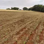 Fração de Terras de 38.473,68m² em Ijuí - RS