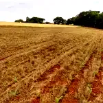 Fração de Terras de 38.473,68m² em Ijuí - RS