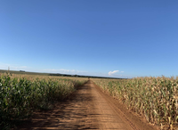 Fazenda Colomba com 4.919ha e pista de avião