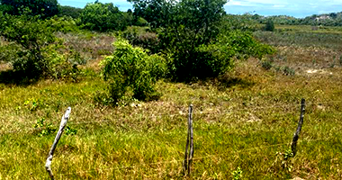 Terreno 300m² em Itaporanga D'ajuda