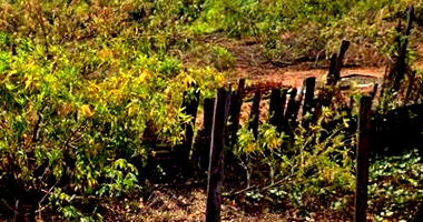 Direitos sobre Lote em Umuarama com 360m²