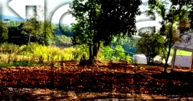 Terreno Urbano com 592,48 m² em Vista Alegre - RS