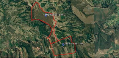 Duas Glebas Rurais Ocupadas com 1.236 hectares no total