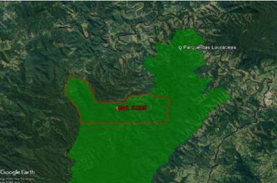 Área Rural de 4.598 hectares em Adrianópolis - Oportunidade Única!
