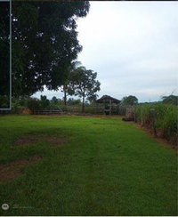 Sítio L & B 36,30 ha - Nova Bandeirantes/MT - Oportunidade Rural