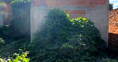 Casa com 3 quartos em Santa Bárbara de Goiás/GO