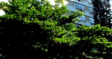 Apartamento 1401 com 1 vaga no Leblon - 88m²