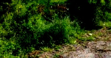 Casa em Itabaiana/PB com 80m² e 3 quartos