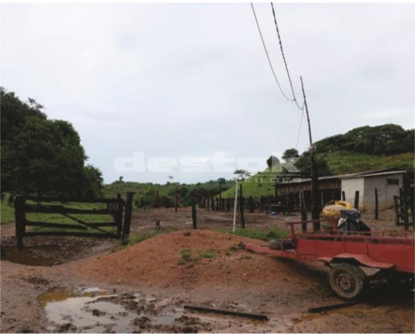 Fazenda Oriental em Vila Rica/MT com benfeitorias
