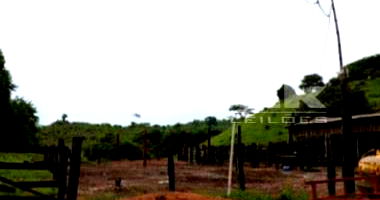 Fazenda Oriental em Vila Rica/MT com benfeitorias