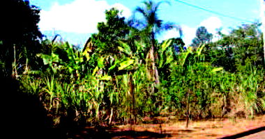 Chácara com 4109m² em Goiânia - Terreno amplo para investimento