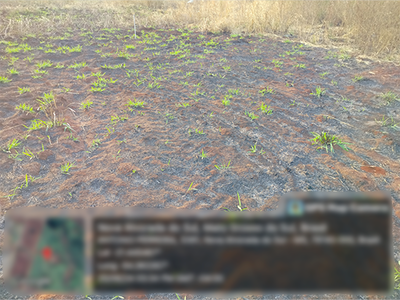 Terreno de 253m² em Nova Alvorada do Sul