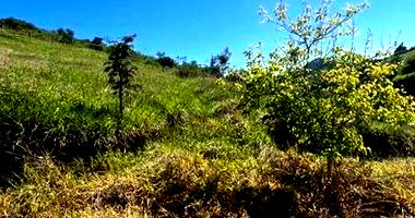 Lote 851m² em Itamonte - MG