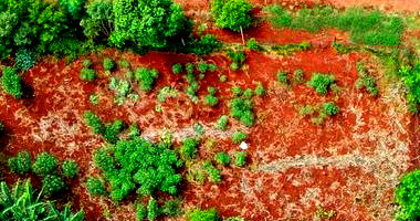 Lote Urbano Nº 1 com 560 m² em Realeza-PR