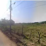 Terreno amplo 50.820 m² com construções, beira de pista, pagamento em até 60x