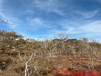 Terreno em Buritis MG com 50,0692ha