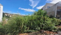 Terreno com 420 m² em Muriaé - MG