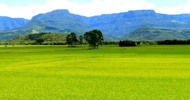 Fração de Imóvel Rural com Pivôs e Área Mecanizável