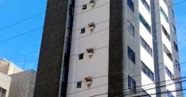 Apartamento com 2 Quartos em Salvador, 2 Vagas