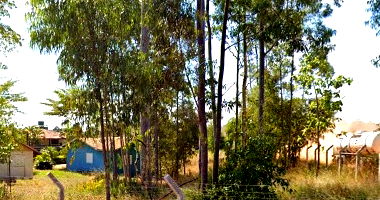 Imóvel Industrial com 3 quartos, 4 banheiros, 24.773m² terreno e 4.492m² construídos