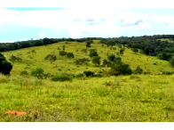 Sítio com 30,90 Hectares em Orizona/GO