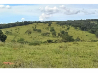 Sítio com 30,90 Hectares em Orizona/GO