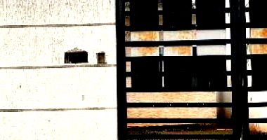 Casa com 2 quartos em Pedra de Guaratiba, Rio de Janeiro