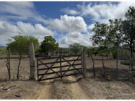 Terreno com Casa e Criação em Caruaru/PE