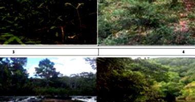 Imóvel Rural com 1.233,50 Hectares em Bananal/SP