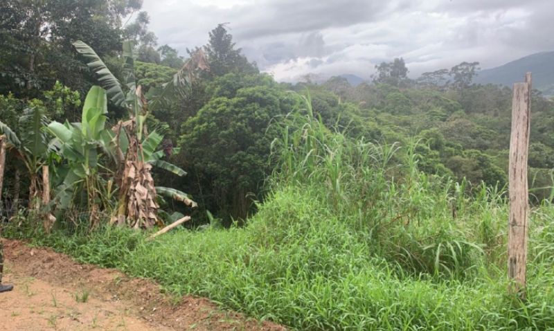 Terreno amplo de 358m² em Biguaçu, excelente oportunidade
