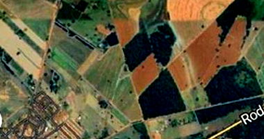 1/12 do Imóvel em Penápolis/SP com 60,50 Has.