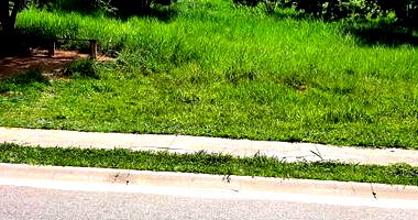 Terreno amplo de 250m² com potencial para construção residencial