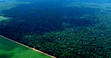 Área Rural de 500ha em Vera/MT