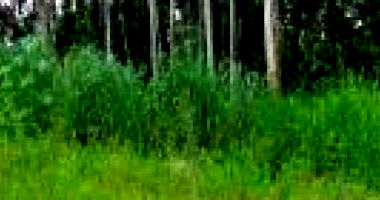 Terreno amplo com 2173,79m², desocupado, ideal para investimento