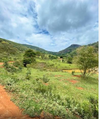Gleba de Terras 50ha em Montalvânia/MG - Oportunidade de Investimento