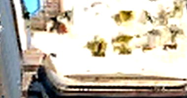 Apartamento Cobertura Tijuca - 223m²