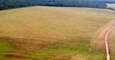 Imóvel Rural com 74,0462 HA em Vilhena/RO