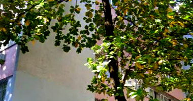 Apartamento com 4 quartos no Estácio, Rio de Janeiro